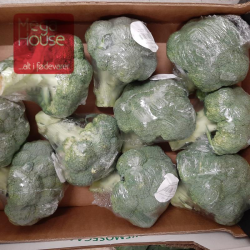 BROCCOLI FRISK 10X500 G.