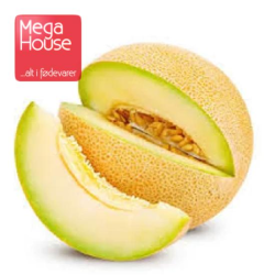 MELON GALIA