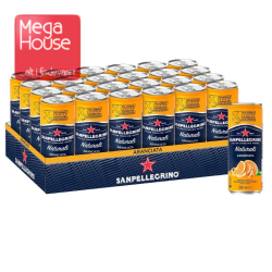 SAN PELLEGRINO ARANCIATA 24X33 CL.