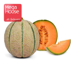 MELON CANTALOUPE