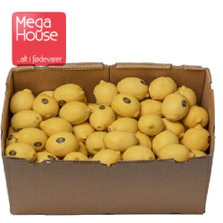 CITRON FRISK 15 KG