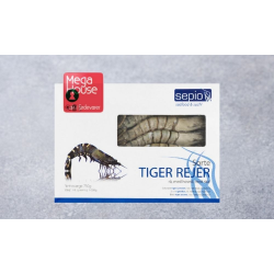 BLACK TIGER REJER M/HOVED M/SKAL 1 KG.