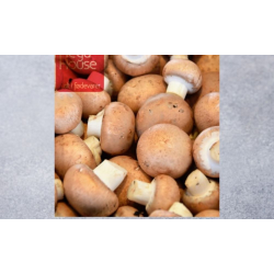 MARK CHAMPIGNON 2,5 KG