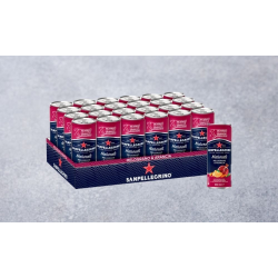 SAN PELLEGRINO MELOGRANO ARANCIA 24X33 CL.