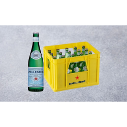 SAN PELLGRINO GLAS 20X0,50 CL.