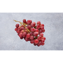 VINDRUER (RED GLOBE) 8,2 KG.